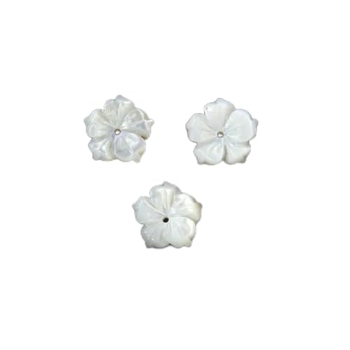 Muschel-Charms, natürlich geschnitzte Perlmutt-Blumenmuschel-Anhänger, Perlen für DIY-Halsketten, Schmuckherstellung, Fundstücke, 19 Bauhinia, 1 Stück Muschel-Charms, natürlich geschnitzte Perlmutt-Blumenmuschel-Anhänger, Perlen für DIY-Halsketten, Schmuckherstellung, Fundstücke, 19 Bauhinia, 1 Stück von GJUYTD