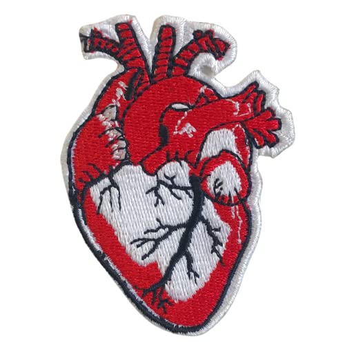 X-Ray Anatomisches rotes Herz zum Aufnähen von GK
