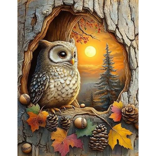 GLIDIAM 40x50cm Diamond Painting Eule Baumhöhle, Diamant Malerei Bilder Tiere Sonnenuntergang, DIY Full Drill Basteln Erwachsene, Mosaik Stickerei Kreuzstich Geschenk für Wanddeko Wohnzimmer von GLIDIAM