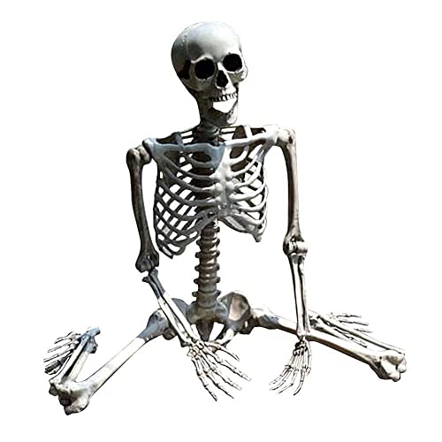 GLIMDA 70 cm Halloween-Skelett-Requisite, menschlicher Totenkopf, Hand, Körper, Anatomie-Dekoration, Modell, Party, für Heimdekoration, Halloween, L1b9 von GLIMDA