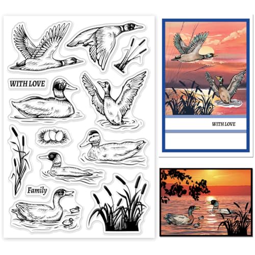 GLOBLELAND Mallard and Reeds Clear Stamps for Cards Making Wild Ducks Silicone Stamp Seals Transparent Stamps for DIY Scrapbooking Photo Album Journal Home Decoration GLOBLELAND Mallard and Reeds Clear Stamps for Cards Making Wild Ducks Silicone Stamp Seals Transparent Stamps for DIY Scrapbooking Photo Album Journal Home Decoration von GLOBLELAND