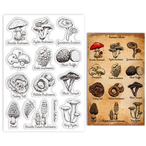 GLOBLELAND Transparenter Pilz-Stempel. Amanita Austernpilze Ganoderma Lucidum Shiitake. Silikon Rechteckig Stempel Braun Rot Weiß. Zum Selbermachen Scrapbooking Journal von GLOBLELAND