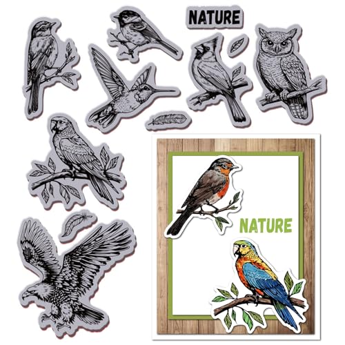 GLOBLELAND Vogel Stempel Aus Gummi 180x220 mm Rechteckig RUBBER_STAMP Stempel für DIY Scrapbooking und Kartenherstellung GLOBLELAND Vogel Stempel Aus Gummi 180x220 mm Rechteckig RUBBER_STAMP Stempel für DIY Scrapbooking und Kartenherstellung von GLOBLELAND