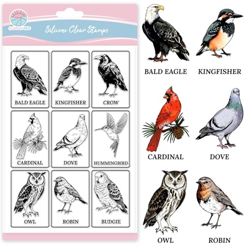 GLOBLELAND Vogelillustrationen Klarstempel für die Kartenherstellung Weißkopfseeadler Eule Silikon Klarstempel Vögel Tiere Transparenter Stempel Siegel für DIY Scrapbooking Fotoalbum Dekoration von GLOBLELAND