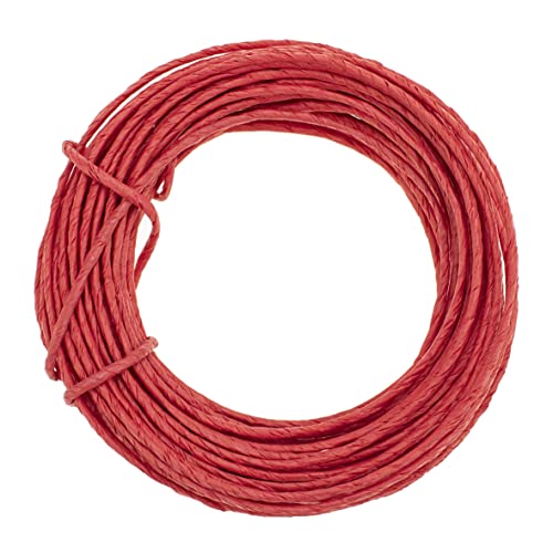 GLOREX 6 1280 233 - Papierdraht, 2 mm, Länge 10 m, rot, zum Basteln und Binden von Gestecken und Kränzen GLOREX 6 1280 233 - Papierdraht, 2 mm, Länge 10 m, rot, zum Basteln und Binden von Gestecken und Kränzen von GLOREX