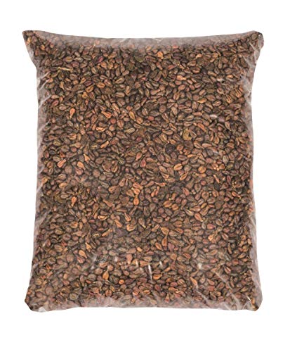 Glorex 0 2509 03 Traubenkernchen, natur, 1000g Glorex 0 2509 03 Traubenkernchen, natur, 1000g von GLOREX