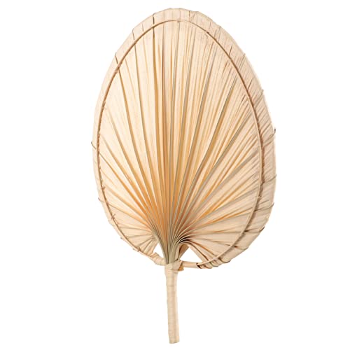 GLSTOY Handgefertigter Kühlfächer aus Getrockneten Palmblättern Handventilator mit Griff Dekorativer Fächer für Sommer Partys Hochzeiten und Wanddekoration GLSTOY Handgefertigter Kühlfächer aus Getrockneten Palmblättern Handventilator mit Griff Dekorativer Fächer für Sommer Partys Hochzeiten und Wanddekoration von GLSTOY