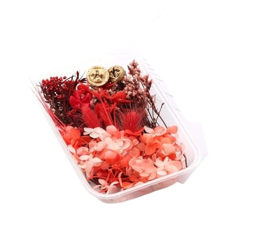 GMGQJST Trockenblumen 2 Box künstliche Pflanzen natürliche echte getrocknete Blumen for Kerzenform Epoxidharz DIY Herstellung Dekoration Wohnaccessoires Handwerk(Color-1) von GMGQJST