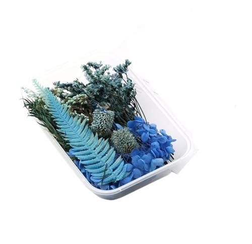 GMGQJST Trockenblumen 2 Box künstliche Pflanzen natürliche echte getrocknete Blumen for Kerzenform Epoxidharz DIY Herstellung Dekoration Wohnaccessoires Handwerk(Color-10) von GMGQJST