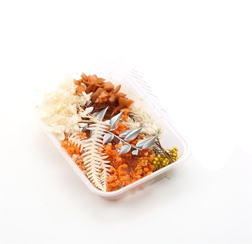 GMGQJST Trockenblumen 2 Box künstliche Pflanzen natürliche echte getrocknete Blumen for Kerzenform Epoxidharz DIY Herstellung Dekoration Wohnaccessoires Handwerk(Color-11) von GMGQJST
