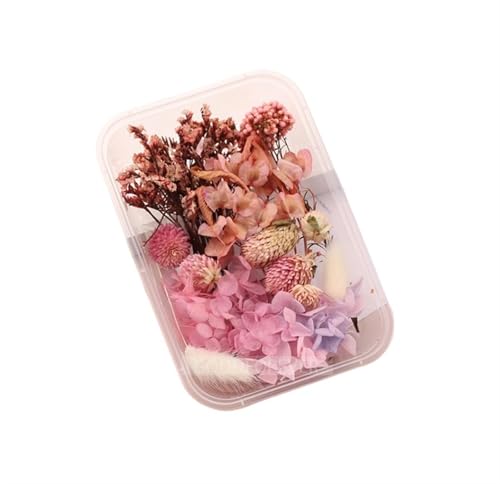 GMGQJST Trockenblumen 2 Box künstliche Pflanzen natürliche echte getrocknete Blumen for Kerzenform Epoxidharz DIY Herstellung Dekoration Wohnaccessoires Handwerk(Color-12) von GMGQJST