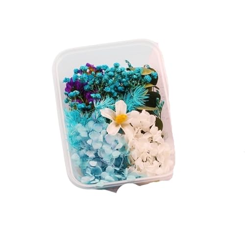 GMGQJST Trockenblumen 2 Box künstliche Pflanzen natürliche echte getrocknete Blumen for Kerzenform Epoxidharz DIY Herstellung Dekoration Wohnaccessoires Handwerk(Color-13) von GMGQJST