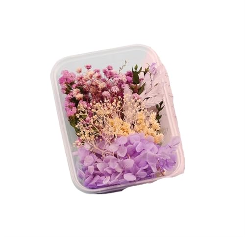 GMGQJST Trockenblumen 2 Box künstliche Pflanzen natürliche echte getrocknete Blumen for Kerzenform Epoxidharz DIY Herstellung Dekoration Wohnaccessoires Handwerk(Color-14) von GMGQJST