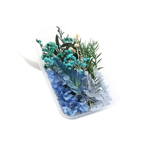 GMGQJST Trockenblumen 2 Box künstliche Pflanzen natürliche echte getrocknete Blumen for Kerzenform Epoxidharz DIY Herstellung Dekoration Wohnaccessoires Handwerk(Color-16) von GMGQJST
