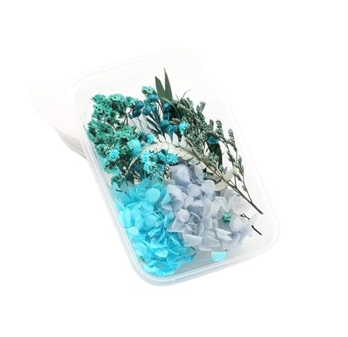 GMGQJST Trockenblumen 2 Box künstliche Pflanzen natürliche echte getrocknete Blumen for Kerzenform Epoxidharz DIY Herstellung Dekoration Wohnaccessoires Handwerk(Color-17) von GMGQJST