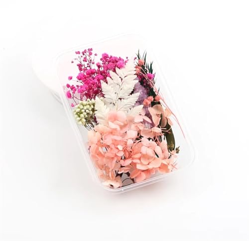 GMGQJST Trockenblumen 2 Box künstliche Pflanzen natürliche echte getrocknete Blumen for Kerzenform Epoxidharz DIY Herstellung Dekoration Wohnaccessoires Handwerk(Color-18) von GMGQJST