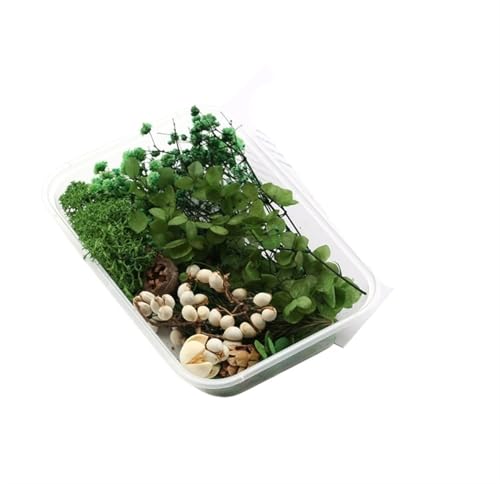 GMGQJST Trockenblumen 2 Box künstliche Pflanzen natürliche echte getrocknete Blumen for Kerzenform Epoxidharz DIY Herstellung Dekoration Wohnaccessoires Handwerk(Color-2) von GMGQJST