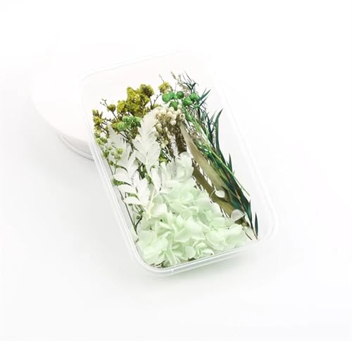 GMGQJST Trockenblumen 2 Box künstliche Pflanzen natürliche echte getrocknete Blumen for Kerzenform Epoxidharz DIY Herstellung Dekoration Wohnaccessoires Handwerk(Color-20) von GMGQJST