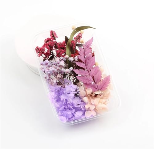 GMGQJST Trockenblumen 2 Box künstliche Pflanzen natürliche echte getrocknete Blumen for Kerzenform Epoxidharz DIY Herstellung Dekoration Wohnaccessoires Handwerk(Color-21) von GMGQJST