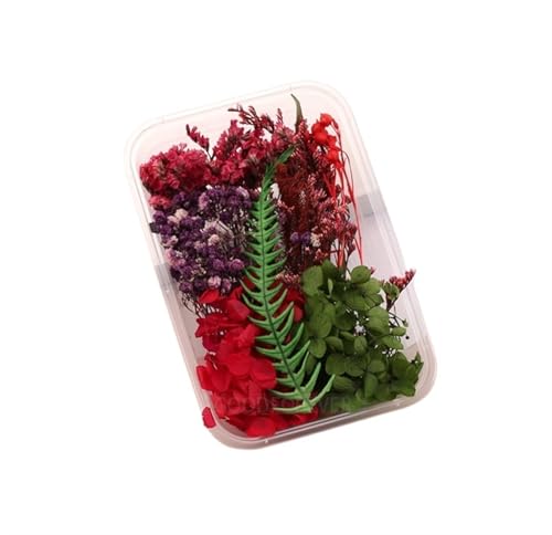 GMGQJST Trockenblumen 2 Box künstliche Pflanzen natürliche echte getrocknete Blumen for Kerzenform Epoxidharz DIY Herstellung Dekoration Wohnaccessoires Handwerk(Color-22) von GMGQJST