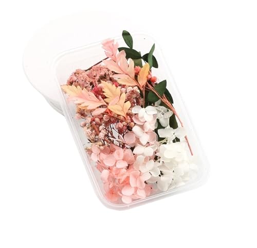 GMGQJST Trockenblumen 2 Box künstliche Pflanzen natürliche echte getrocknete Blumen for Kerzenform Epoxidharz DIY Herstellung Dekoration Wohnaccessoires Handwerk(Color-23) von GMGQJST