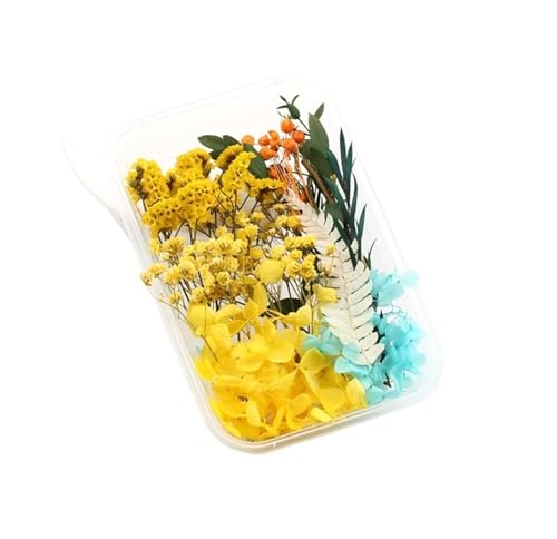 GMGQJST Trockenblumen 2 Box künstliche Pflanzen natürliche echte getrocknete Blumen for Kerzenform Epoxidharz DIY Herstellung Dekoration Wohnaccessoires Handwerk(Color-24) von GMGQJST