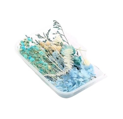 GMGQJST Trockenblumen 2 Box künstliche Pflanzen natürliche echte getrocknete Blumen for Kerzenform Epoxidharz DIY Herstellung Dekoration Wohnaccessoires Handwerk(Color-25) von GMGQJST