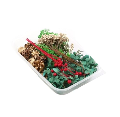 GMGQJST Trockenblumen 2 Box künstliche Pflanzen natürliche echte getrocknete Blumen for Kerzenform Epoxidharz DIY Herstellung Dekoration Wohnaccessoires Handwerk(Color-26) von GMGQJST