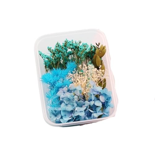 GMGQJST Trockenblumen 2 Box künstliche Pflanzen natürliche echte getrocknete Blumen for Kerzenform Epoxidharz DIY Herstellung Dekoration Wohnaccessoires Handwerk(Color-27) von GMGQJST
