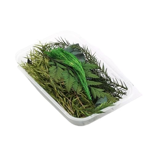 GMGQJST Trockenblumen 2 Box künstliche Pflanzen natürliche echte getrocknete Blumen for Kerzenform Epoxidharz DIY Herstellung Dekoration Wohnaccessoires Handwerk(Color-28) von GMGQJST