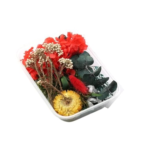 GMGQJST Trockenblumen 2 Box künstliche Pflanzen natürliche echte getrocknete Blumen for Kerzenform Epoxidharz DIY Herstellung Dekoration Wohnaccessoires Handwerk(Color-3) von GMGQJST