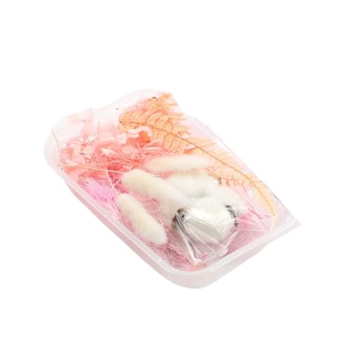 GMGQJST Trockenblumen 2 Box künstliche Pflanzen natürliche echte getrocknete Blumen for Kerzenform Epoxidharz DIY Herstellung Dekoration Wohnaccessoires Handwerk(Color-30) von GMGQJST