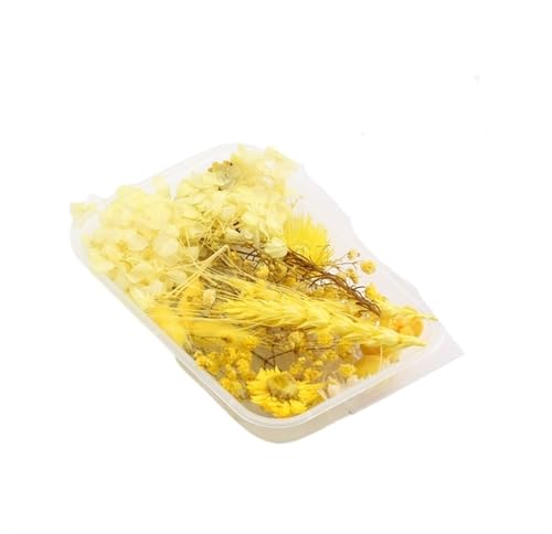 GMGQJST Trockenblumen 2 Box künstliche Pflanzen natürliche echte getrocknete Blumen for Kerzenform Epoxidharz DIY Herstellung Dekoration Wohnaccessoires Handwerk(Color-31) von GMGQJST