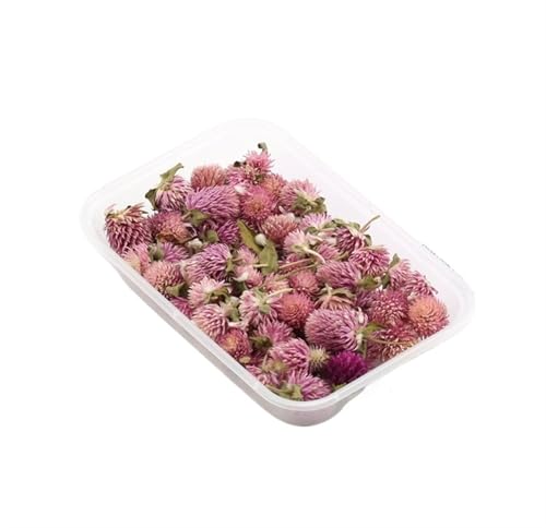 GMGQJST Trockenblumen 2 Box künstliche Pflanzen natürliche echte getrocknete Blumen for Kerzenform Epoxidharz DIY Herstellung Dekoration Wohnaccessoires Handwerk(Color-32) von GMGQJST
