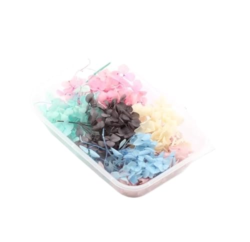 GMGQJST Trockenblumen 2 Box künstliche Pflanzen natürliche echte getrocknete Blumen for Kerzenform Epoxidharz DIY Herstellung Dekoration Wohnaccessoires Handwerk(Color-33) von GMGQJST