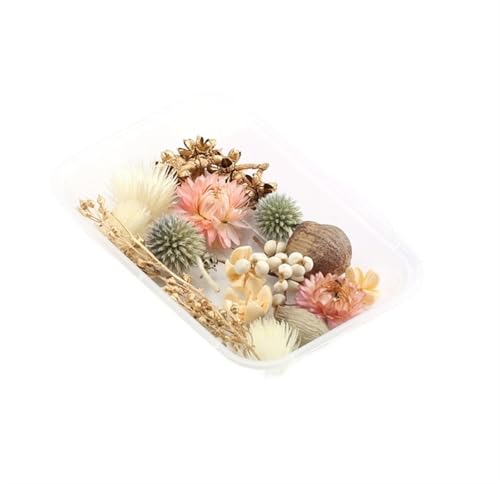GMGQJST Trockenblumen 2 Box künstliche Pflanzen natürliche echte getrocknete Blumen for Kerzenform Epoxidharz DIY Herstellung Dekoration Wohnaccessoires Handwerk(Color-34) von GMGQJST