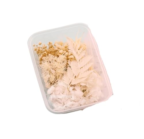 GMGQJST Trockenblumen 2 Box künstliche Pflanzen natürliche echte getrocknete Blumen for Kerzenform Epoxidharz DIY Herstellung Dekoration Wohnaccessoires Handwerk(Color-37) von GMGQJST