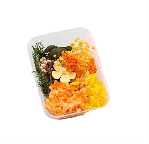 GMGQJST Trockenblumen 2 Box künstliche Pflanzen natürliche echte getrocknete Blumen for Kerzenform Epoxidharz DIY Herstellung Dekoration Wohnaccessoires Handwerk(Color-38) von GMGQJST