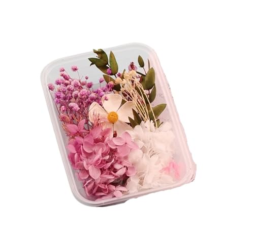 GMGQJST Trockenblumen 2 Box künstliche Pflanzen natürliche echte getrocknete Blumen for Kerzenform Epoxidharz DIY Herstellung Dekoration Wohnaccessoires Handwerk(Color-39) von GMGQJST