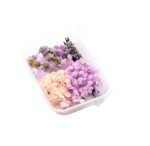 GMGQJST Trockenblumen 2 Box künstliche Pflanzen natürliche echte getrocknete Blumen for Kerzenform Epoxidharz DIY Herstellung Dekoration Wohnaccessoires Handwerk(Color-4) von GMGQJST