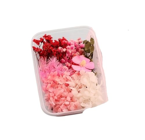 GMGQJST Trockenblumen 2 Box künstliche Pflanzen natürliche echte getrocknete Blumen for Kerzenform Epoxidharz DIY Herstellung Dekoration Wohnaccessoires Handwerk(Color-40) von GMGQJST