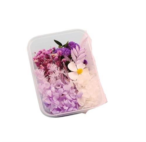 GMGQJST Trockenblumen 2 Box künstliche Pflanzen natürliche echte getrocknete Blumen for Kerzenform Epoxidharz DIY Herstellung Dekoration Wohnaccessoires Handwerk(Color-43) von GMGQJST