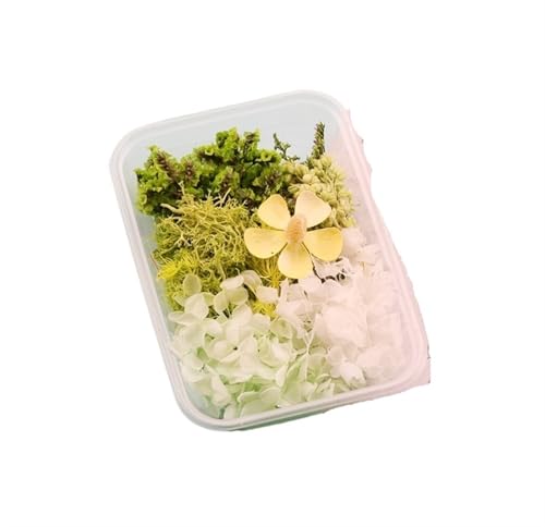 GMGQJST Trockenblumen 2 Box künstliche Pflanzen natürliche echte getrocknete Blumen for Kerzenform Epoxidharz DIY Herstellung Dekoration Wohnaccessoires Handwerk(Color-44) von GMGQJST