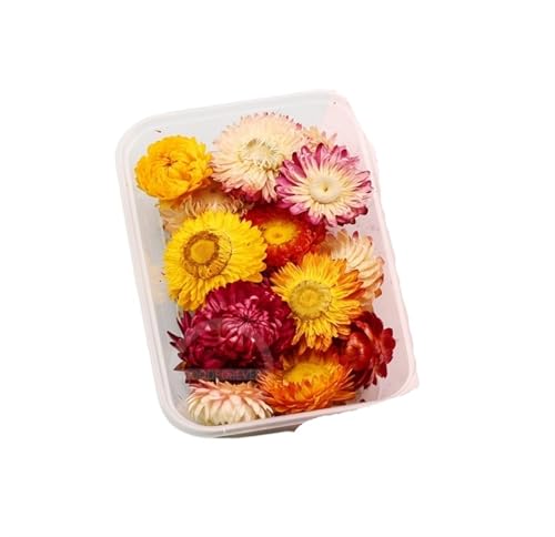 GMGQJST Trockenblumen 2 Box künstliche Pflanzen natürliche echte getrocknete Blumen for Kerzenform Epoxidharz DIY Herstellung Dekoration Wohnaccessoires Handwerk(Color-45) von GMGQJST
