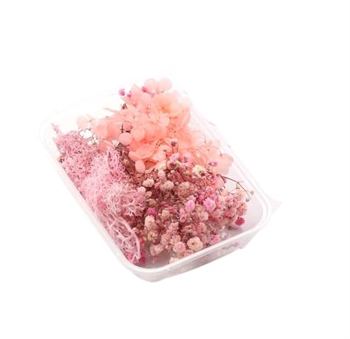 GMGQJST Trockenblumen 2 Box künstliche Pflanzen natürliche echte getrocknete Blumen for Kerzenform Epoxidharz DIY Herstellung Dekoration Wohnaccessoires Handwerk(Color-5) von GMGQJST