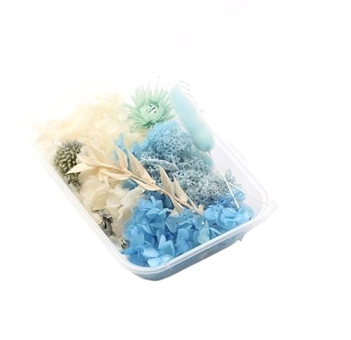 GMGQJST Trockenblumen 2 Box künstliche Pflanzen natürliche echte getrocknete Blumen for Kerzenform Epoxidharz DIY Herstellung Dekoration Wohnaccessoires Handwerk(Color-7) von GMGQJST