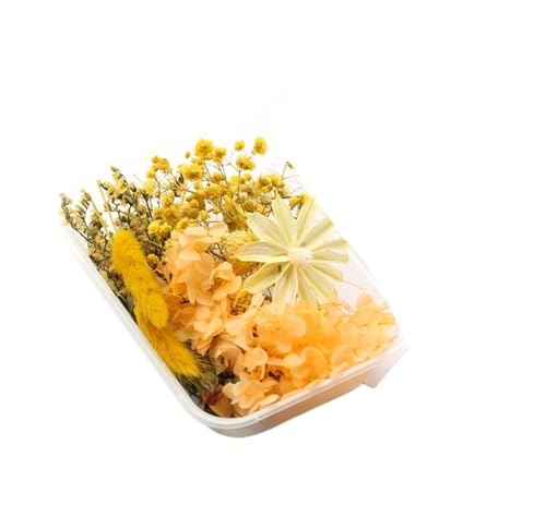 GMGQJST Trockenblumen 2 Box künstliche Pflanzen natürliche echte getrocknete Blumen for Kerzenform Epoxidharz DIY Herstellung Dekoration Wohnaccessoires Handwerk(Color-8) von GMGQJST