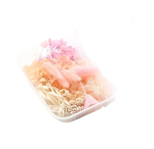 GMGQJST Trockenblumen 2 Box künstliche Pflanzen natürliche echte getrocknete Blumen for Kerzenform Epoxidharz DIY Herstellung Dekoration Wohnaccessoires Handwerk(Color-9) von GMGQJST