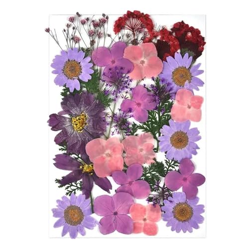 GMGQJST Trockenblumen 2er-Set Trockenblumen, Gießharz-Füllmaterial, gepresste Trockenblumen, DIY-Kerzen, Harzanhänger, Halskette, Schmuckherstellung, Bastelzubehör(Dried Flowers 01) von GMGQJST