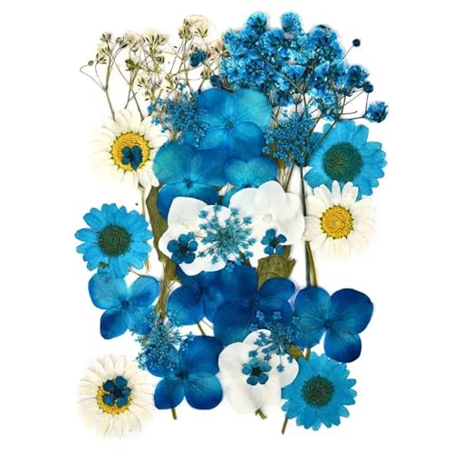 GMGQJST Trockenblumen 2er-Set Trockenblumen, Gießharz-Füllmaterial, gepresste Trockenblumen, DIY-Kerzen, Harzanhänger, Halskette, Schmuckherstellung, Bastelzubehör(Dried Flowers 03) von GMGQJST